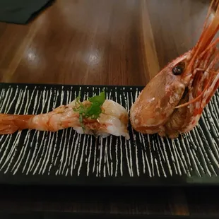 Spot prawn