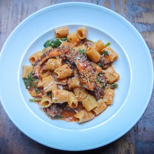 Hand Cut Rigatoni, spicy lamb sausage, octopus