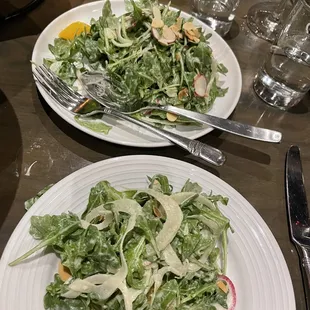 Arugula Salad