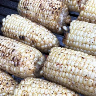 Grilled corn on the cob