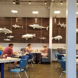 The wall of silver fish.