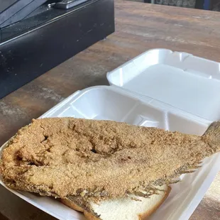 Fresh Fried Fish