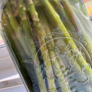 asparagus in a jar
