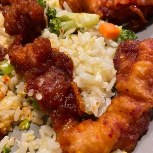 Kanpunggi &amp; fried rice mixed close up