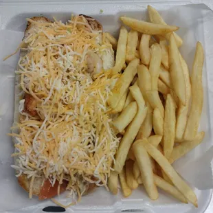 a sandwich and french fries