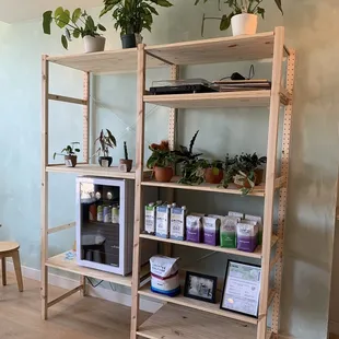 7/11/23 Merch &amp; live plants from Foliage LB