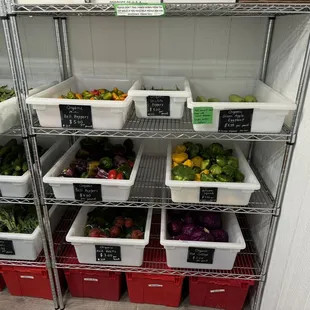 a variety of vegetables in bins