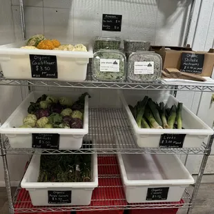 a shelf of vegetables