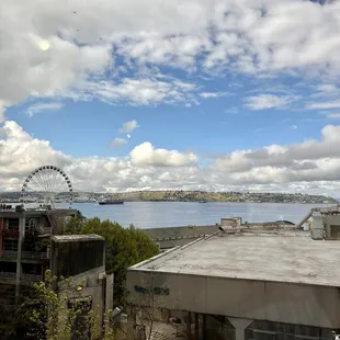 The view from dining area