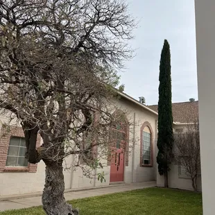 a tree in front of a building