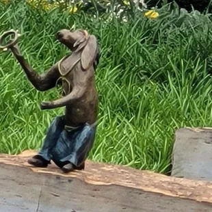 This little guy is watching the stage