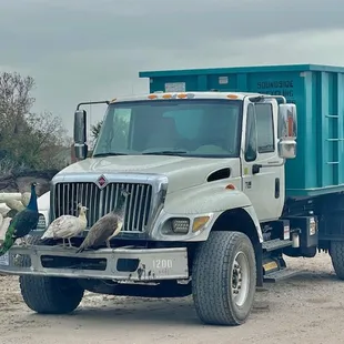Dumpster &amp; Disposal Services all at one location. 10, 15, 20, 30 yard dumpster Rentals
