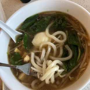 Udon Noodles