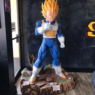 Vegeta Rian Bowl
