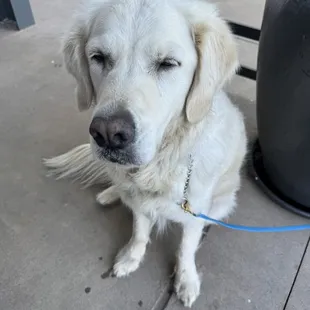 Even Luna fell in love with Source