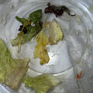 Cobb salad old lettuce