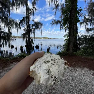 a hand holding a piece of bread