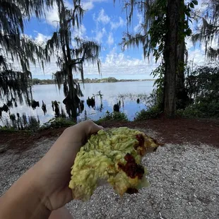 a hand holding a piece of bread