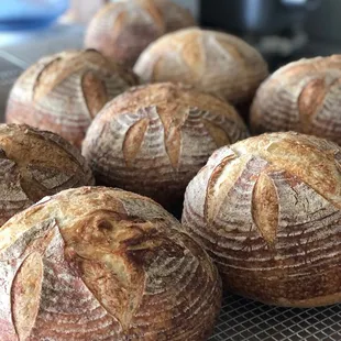 Look at these boules!!!!