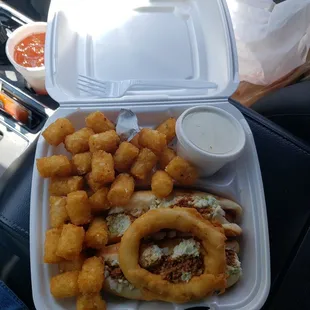 2 hot dog plate with tater tots