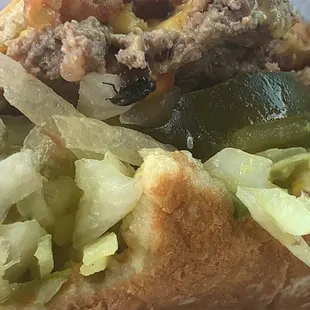 Fly I guess was attached to the tomato's that I pulled off.