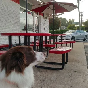 Outside the South 21 Brookshire