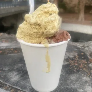 Dark Chocolate Sorbet