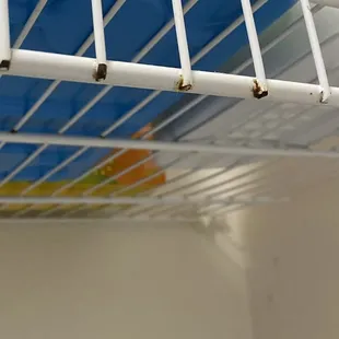 Rack in pantry/wash room.