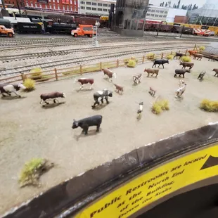 Model railroad room