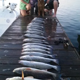 More Great Bait!
