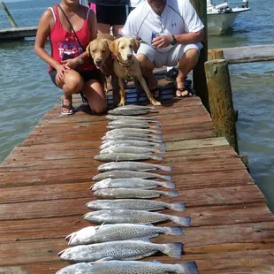 Great Bait!
