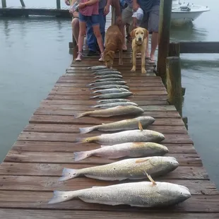I love this Bait House!