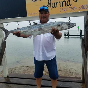 Nice Kingfish !