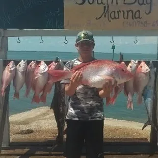 Nice Red Snapper !!!!