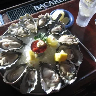 Oyster