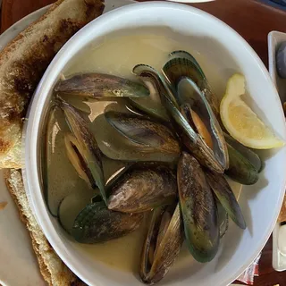 One Dozen Green Lip Mussels