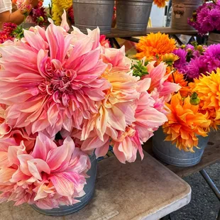 It&apos;s dahlia season, y&apos;all!