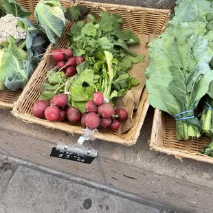 Farm to farm stand radish