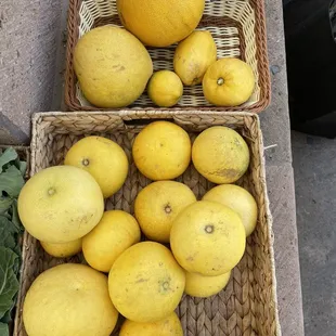 Farm to farm stand lemon