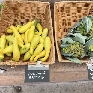 Farm to farm stand zucchini