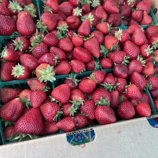 Locally sourced Strawberries