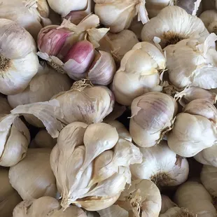 Garlic