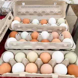 a carton of eggs