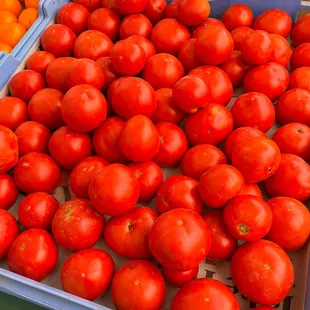 tomatoes and oranges