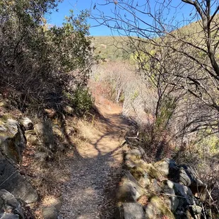 10.30.22 too long and boring for a day hike