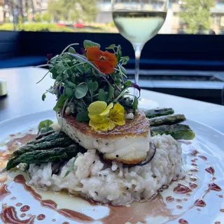 Miso Marinated Chilean Sea Bass