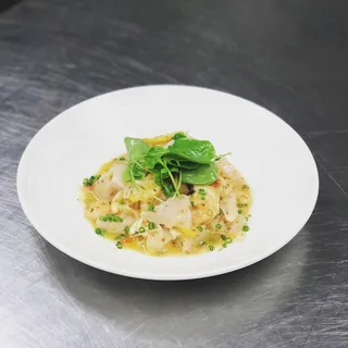 Scallop & Shrimp "Ceviche"