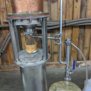 Parrot and money pipe