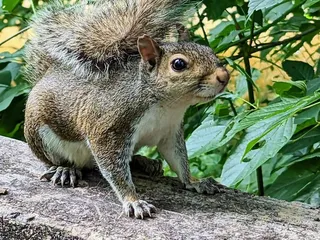 Glenn C Hilton Jr. Memorial Park