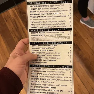 a hand holding a menu